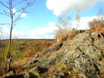 Divoká Šárka